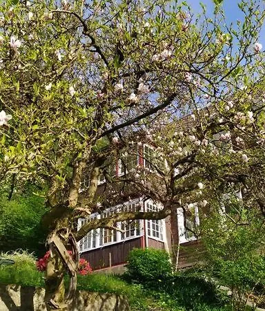 Haus Am Wald Zorge 16+ Gaeste * Walkenried