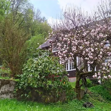 Haus Am Wald Zorge 16+ Gaeste Дом отдыха Валькенрид