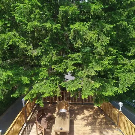 Haus Am Wald Zorge 16+ Gaeste * Walkenried