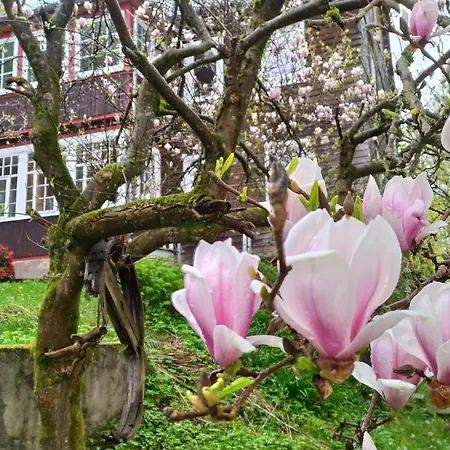 Haus Am Wald Zorge 16+ Gaeste Walkenried