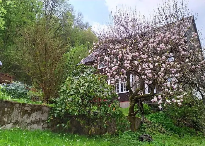 Haus Am Wald Zorge 16+ Gaeste Сasa de vacaciones Walkenried
